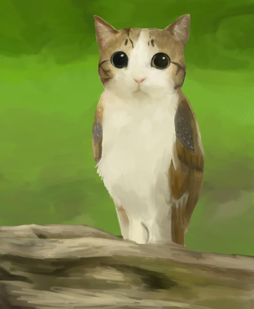 meowl