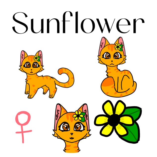 Sunflower - ibisPaint