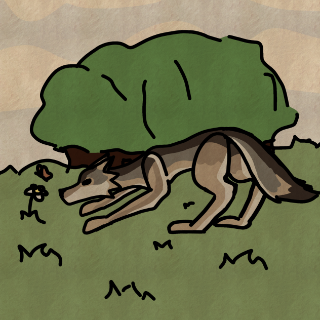 wolf in the field - ibisPaint