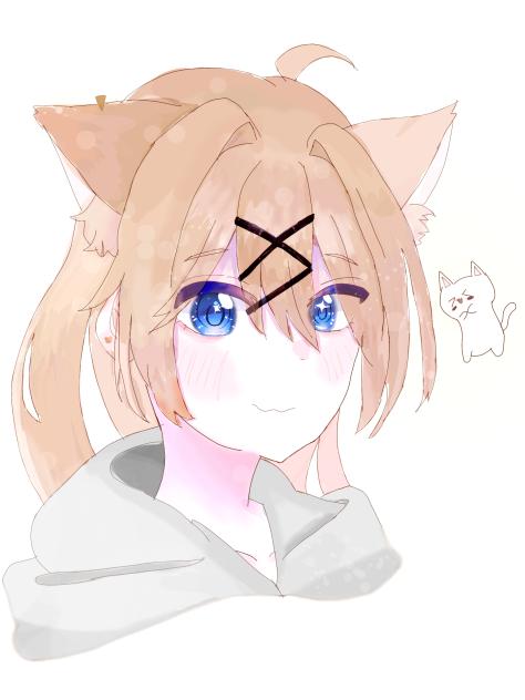 合作