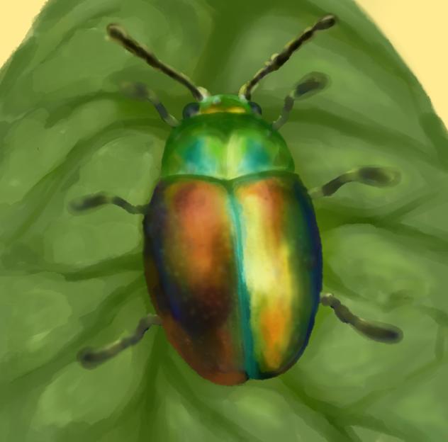 Bug on Leaf ✩