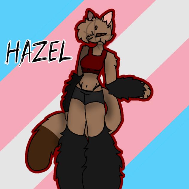 FA for ScarfTheTransGal