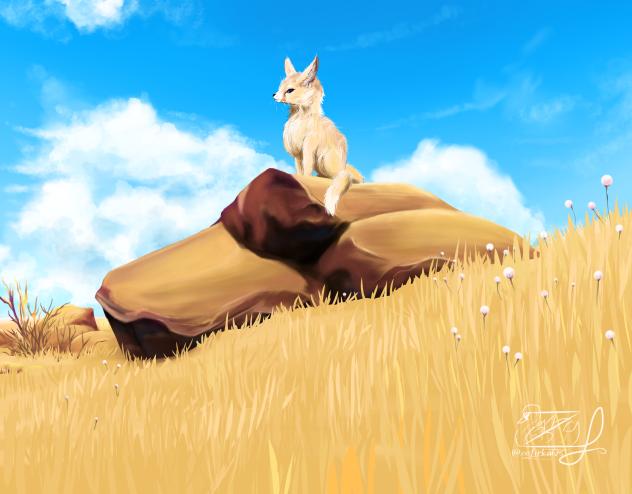 Fennec Fox