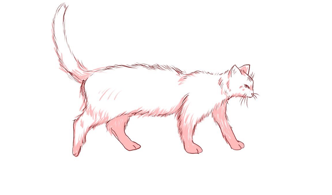 cat - ibisPaint