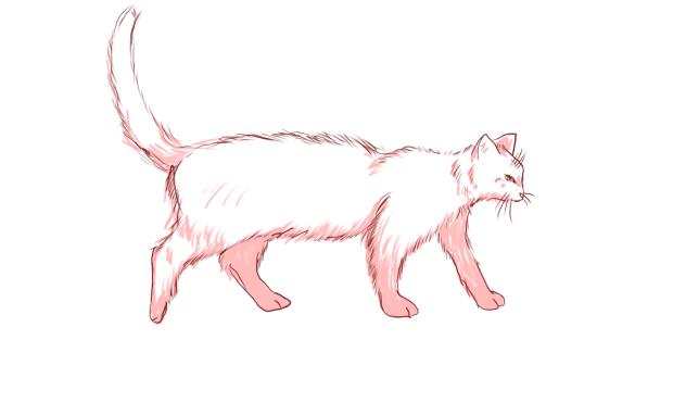 cat - ibisPaint