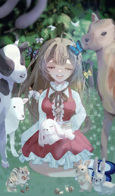 神秘な森
