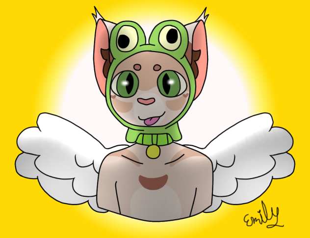 For Sav