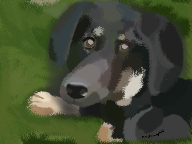 Semi-Realistic Half-Body Dog Portrait (R