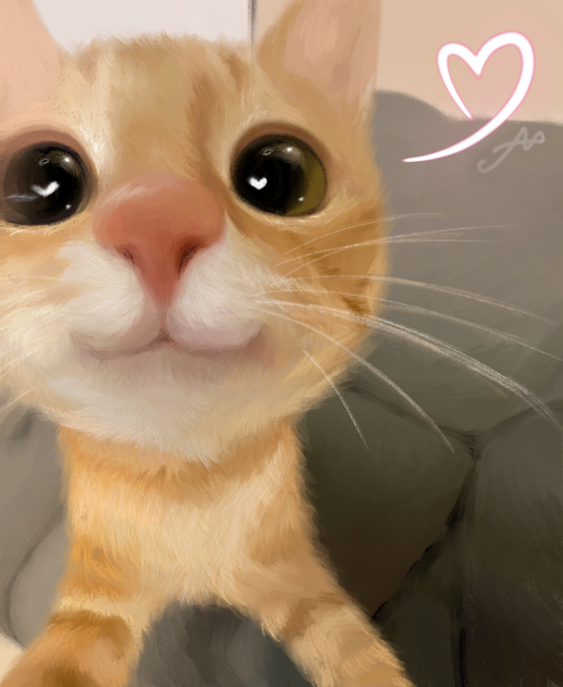👁😺👁