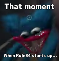 That moment when Rule34 starts up...