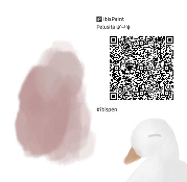 Qr code Pelusita Bv