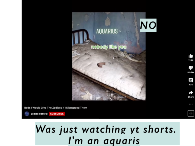 why what did aquaris do to you