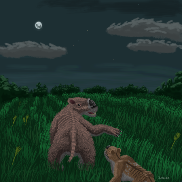 Night Hunting in Sahul