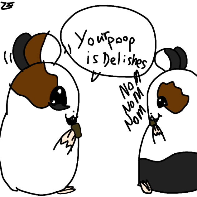 guinea pig logic