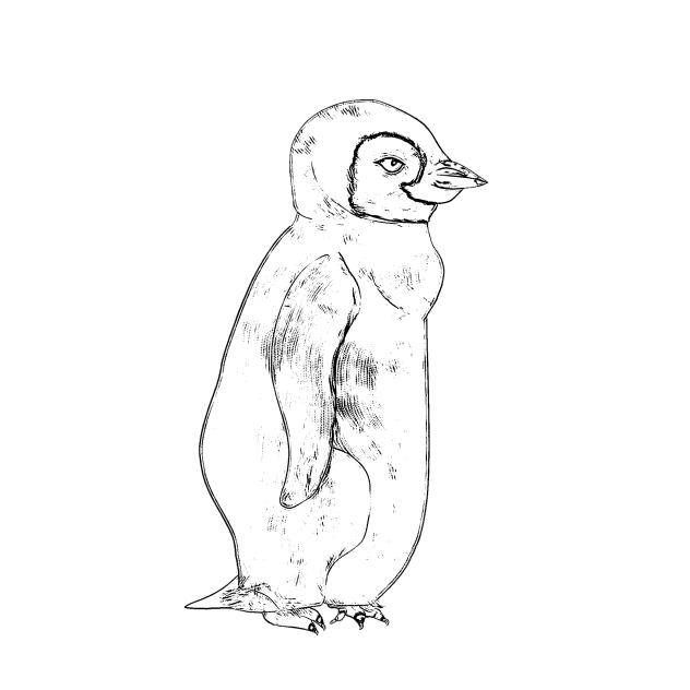 Penguin2