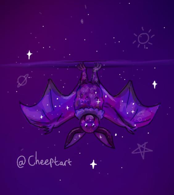 space bat