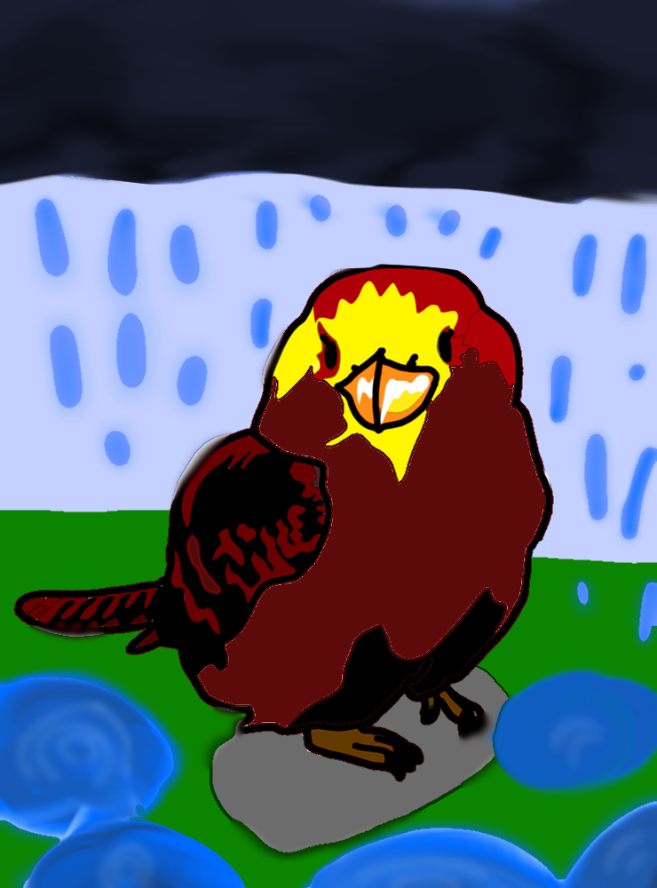bird - ibisPaint