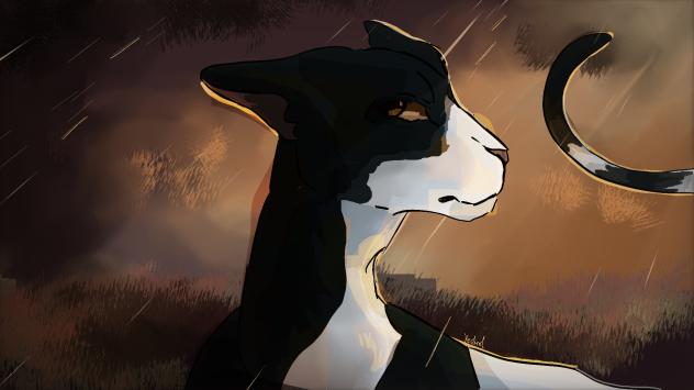 🌱 Tallstar! 👁️