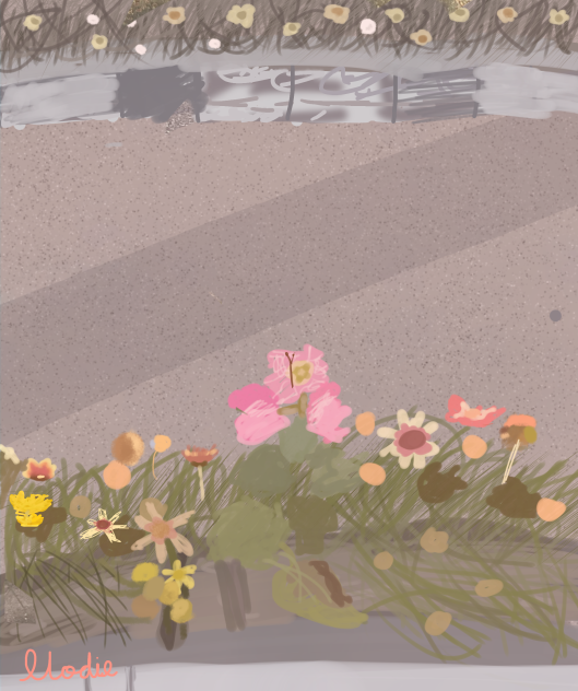 Flowers - ibisPaint