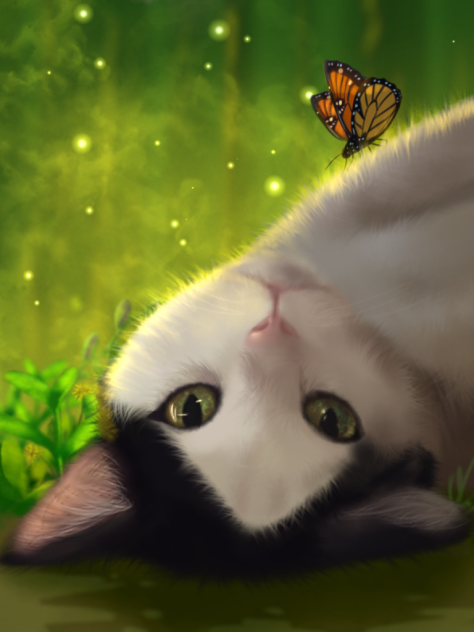Cat and butterfly