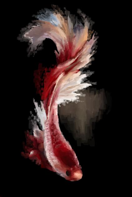 blood & bone