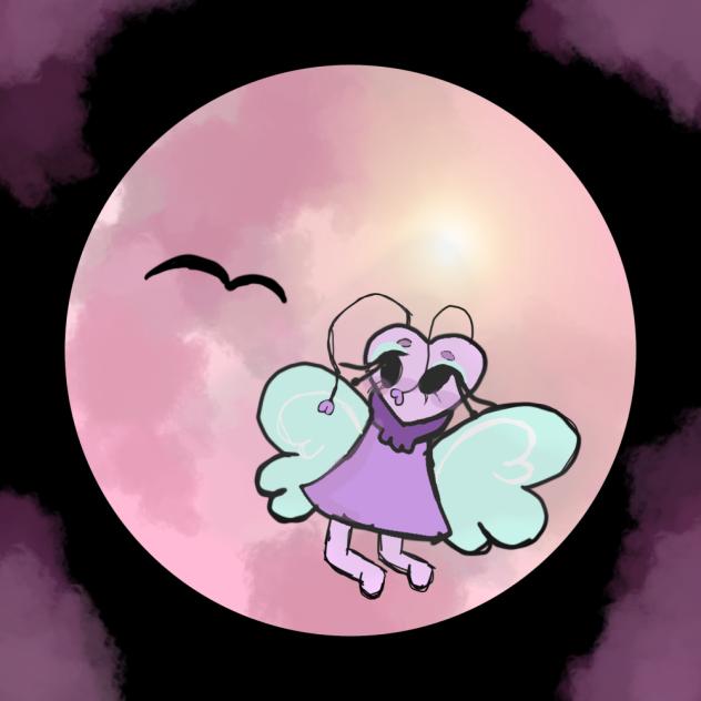 Flutter 🦋
