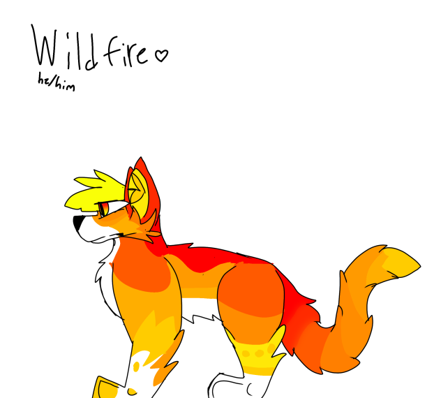 new oc, WILDFIRE