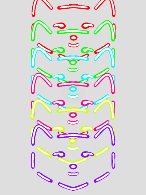 Rainbowfoxes
