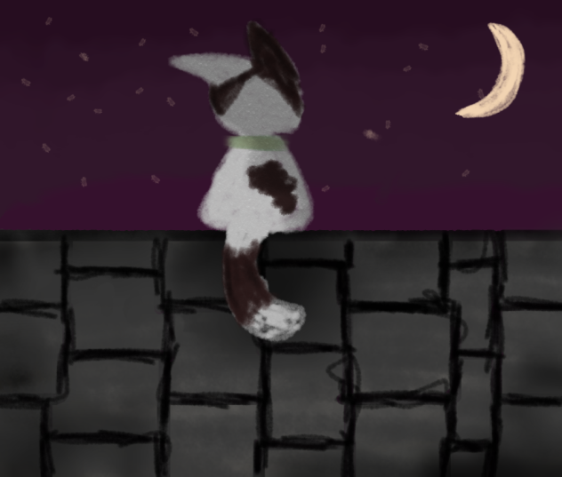 Piddles sits on a stone-brick wall