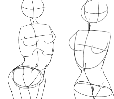 Anatomy Practice