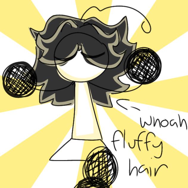 poofy dry hair