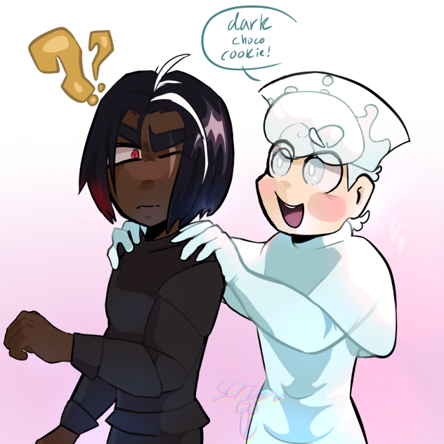 dark choco & milk cookie