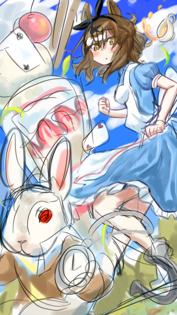 不思議の国のポッケ