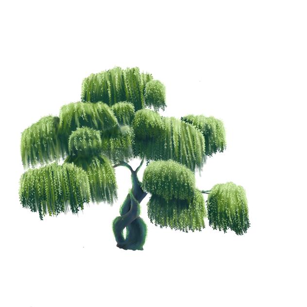 Big Willow Tree. - ibisPaint