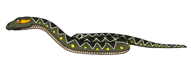 Rosalia's Seed-eating Snake render