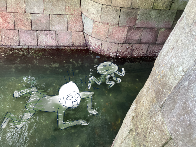 🪼と遊泳