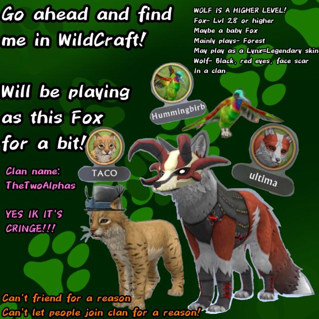 FIND ME IN WILDCRAFT