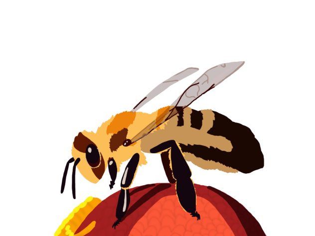 Bee 1 - ibisPaint