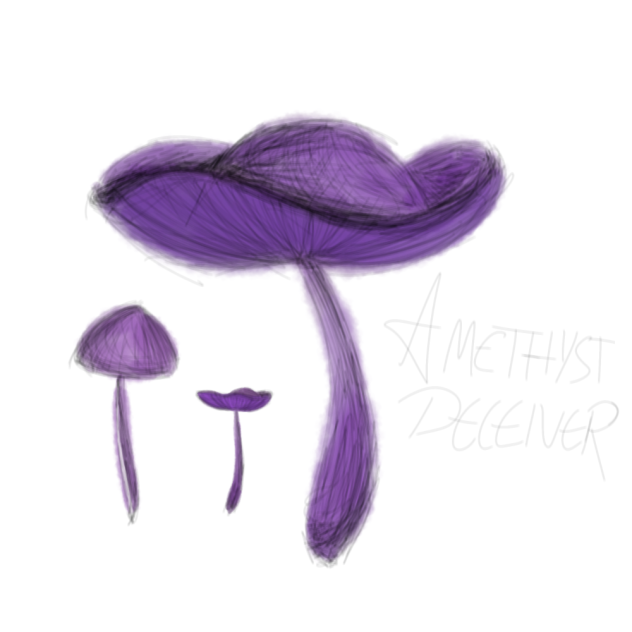 Amethyst deceivers