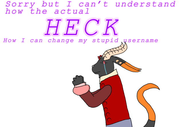 Is it possible to change my username