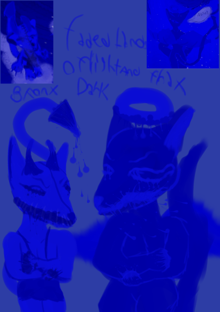 Bonx and frax