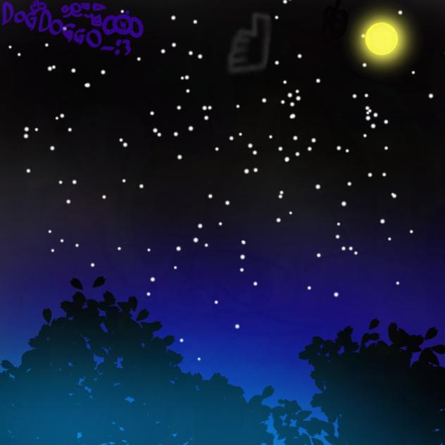 Night