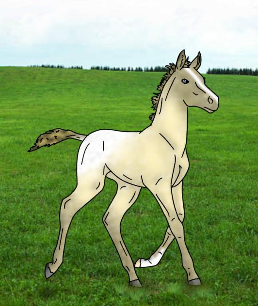 this little foal! it’s so CUTE!