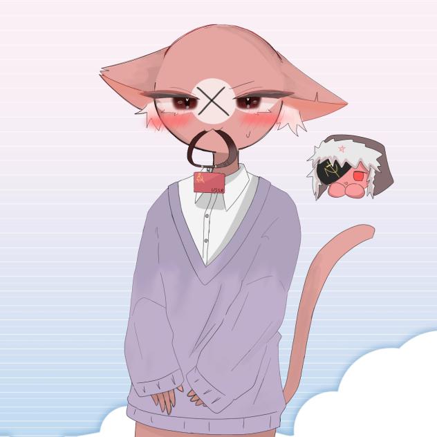 ソナチ