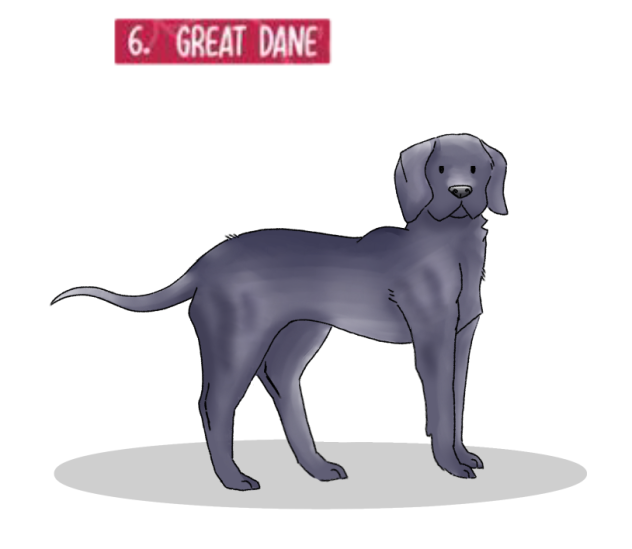 Doggust day 6 - Great Dane