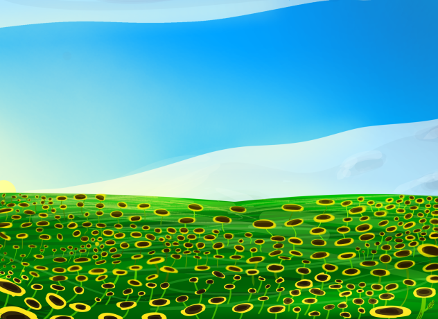 sun flowers