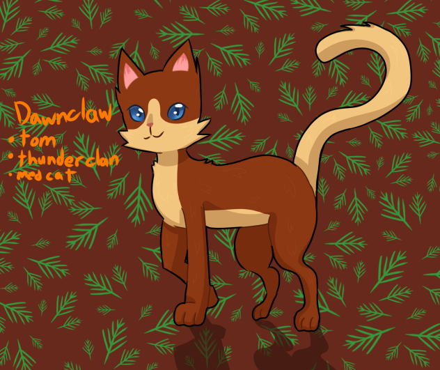 Warrior cats oc dawnclaw 🐈