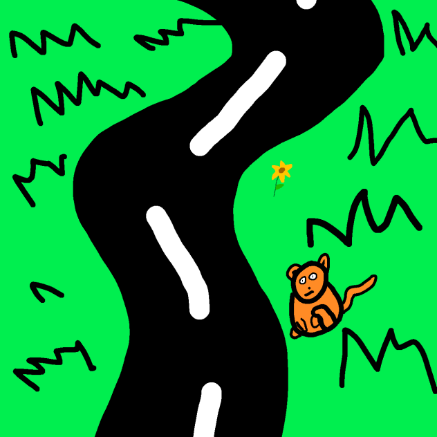 road,cat,flower