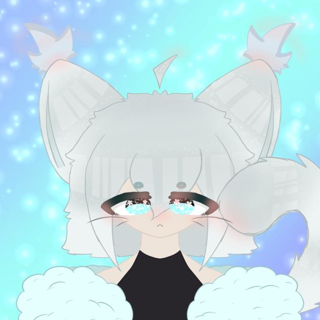 Shino(Ragdoll cat)