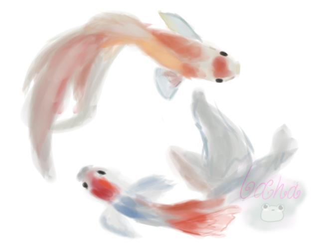 Fish - ibisPaint